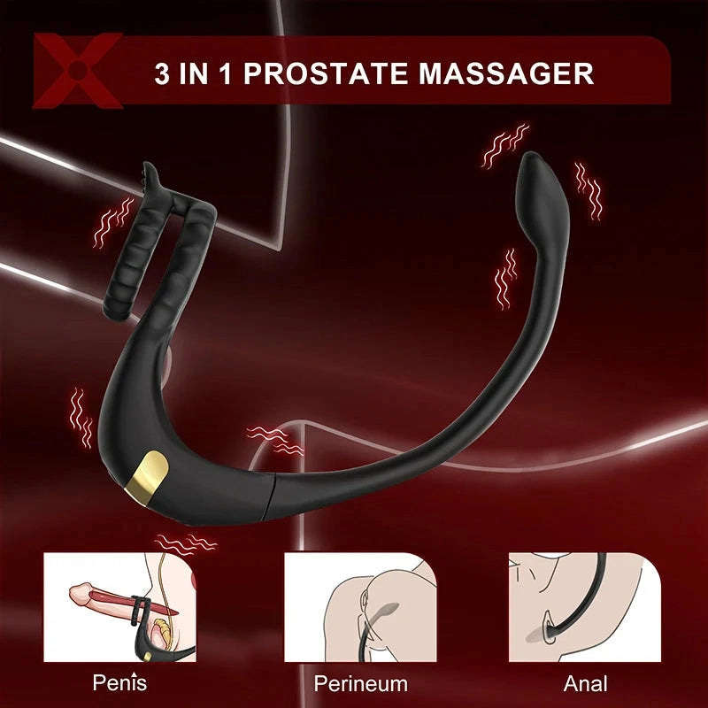 PM2: Dubbelmotor 3-i-1 prostatamassagerare med app, fjärrkontroll & 9 vibrationer